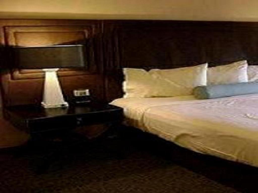 Hotel Sagar Castle Ratlām Kamer foto